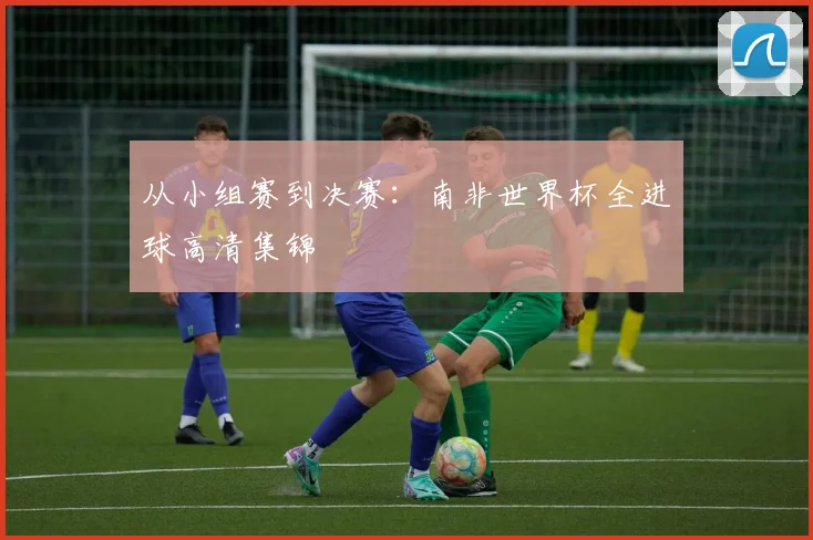 从小组赛到决赛：南非世界杯全进球高清集锦